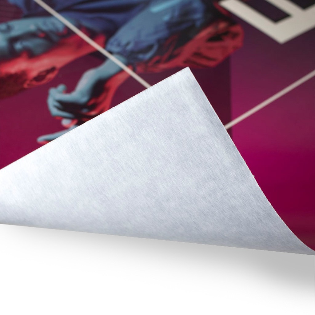 GRÁFICA EN PAPEL PARA CABALLETES GRÁFICA EN PAPEL PARA CABALLETES